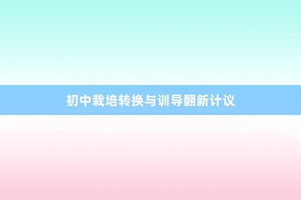 初中栽培转换与训导翻新计议